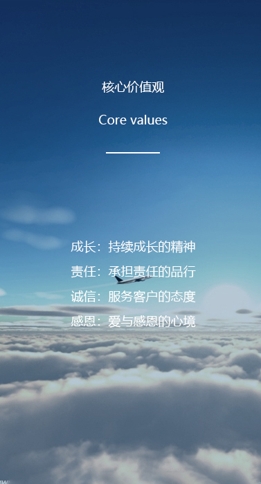 核心价值观 Core values