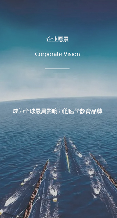 企业愿景 Corporate Vision